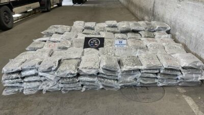 Edirne ilinin Hamzabeyli Sınır Kapısı karşısında yer alan Lesovo Sınır