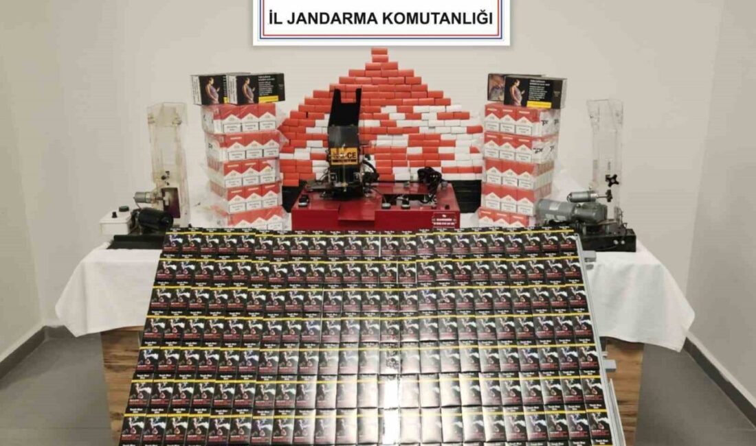 Sinop’un Gerze ilçesinde jandarma ekipleri tarafından gerçekleştirilen operasyonda, kaçak makaron