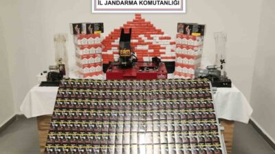 Sinop’un Gerze ilçesinde jandarma ekipleri tarafından gerçekleştirilen operasyonda, kaçak makaron