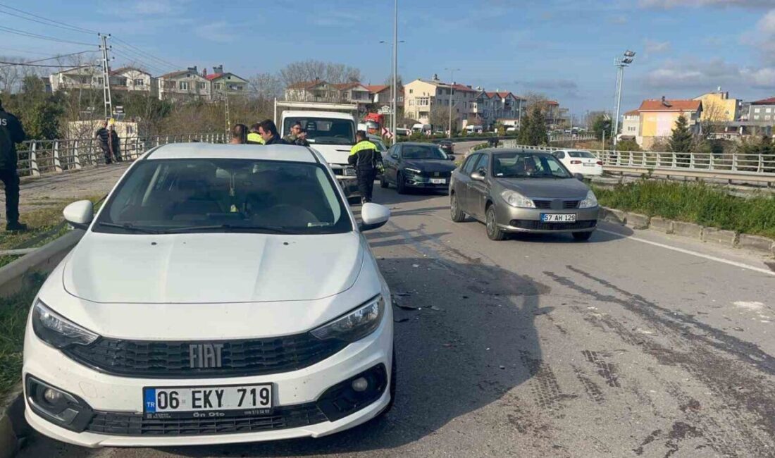 Sinop’ta meydana gelen zincirleme kazada bir kişi yaralandı. Kaza, Gelincik