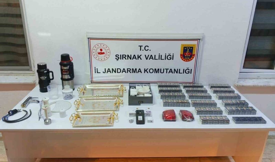 Şırnak ilinde jandarmanın bir haftalık operasyonları sonucunda 11 milyon liralık