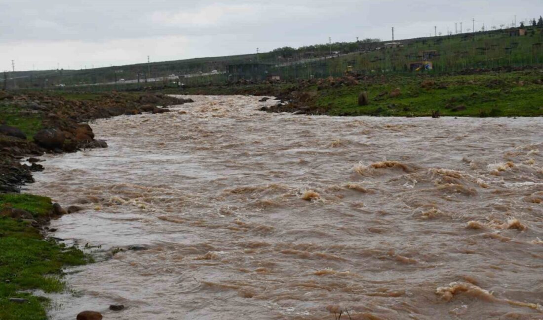 Siverek ilçesinde etkili olan şiddetli yağışlar sonrası yükselen derenin sularına