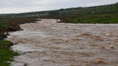Siverek ilçesinde etkili olan şiddetli yağışlar sonrası yükselen derenin sularına