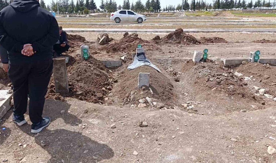 Şanlıurfa’nın Söverek ilçesindeki bir saldırı sonucunda 16 kişiyi yaralayıp intihar