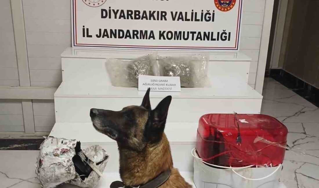 Diyarbakır Valiliği’nin açıklamasına göre, İl Jandarma Komutanlığı, Kayapınar İlçe Jandarma