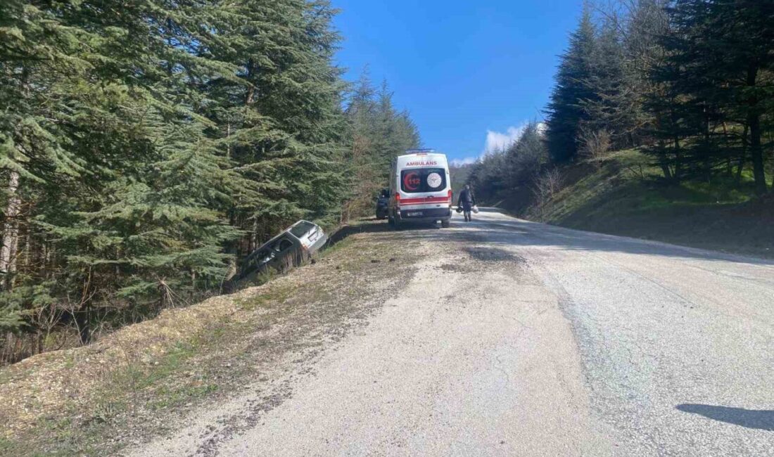 Bilecik’te bir sürücü, direksiyon hakimiyetini kaybederek aracını ormanlık alana savurdu.