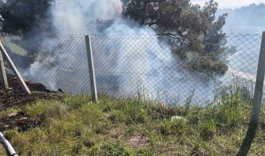 Bir kişinin Bilecik’in Söğüt ilçesindeki tarlasını temizlemek amacıyla yaktığı ateşin