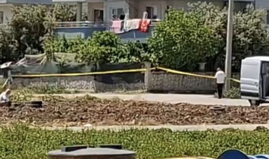 Tarsus ilçesindeki bir sarımsak tarlasında bomba bulunduğu iddiası, kısa süreli