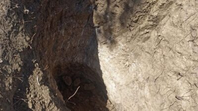 Tekirdağ’ın Hayrabolu ilçesine bağlı Çene Mahallesi mezarlığında, izinsiz kazı yapıldığı