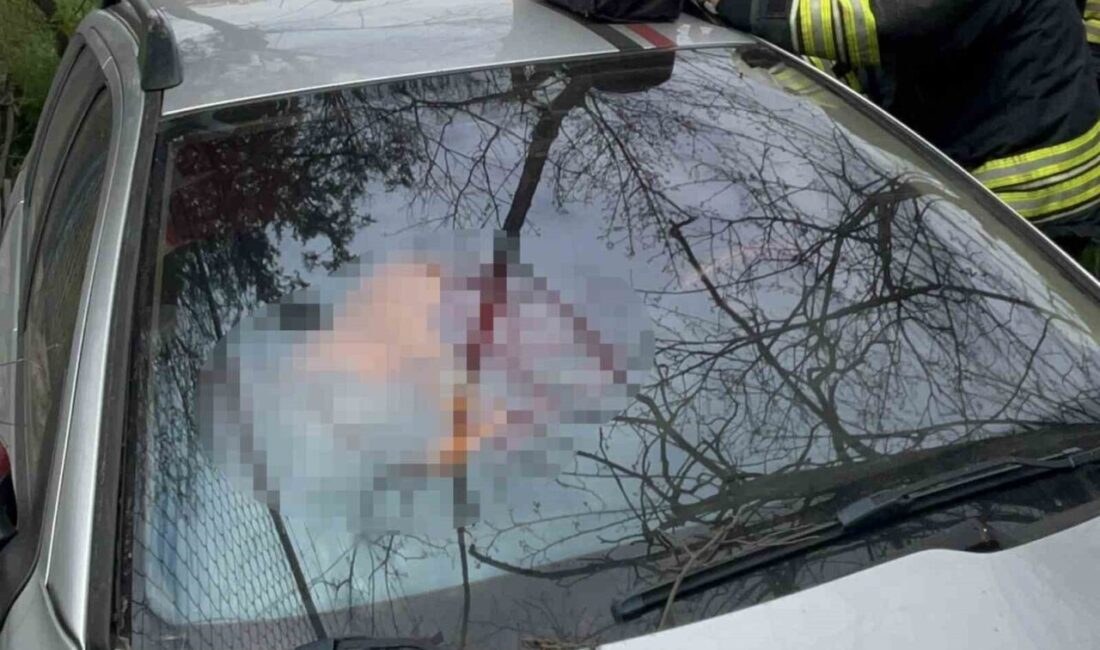 Çorlu ilçesinde meydana gelen trafik kazasında bir kişi hayatını kaybetti.