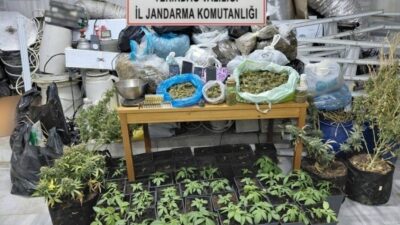 Tekirdağ İl Jandarma Komutanlığı ekipleri, Marmaraereğlisi ilçesinde gerçekleştirilen operasyonda bir