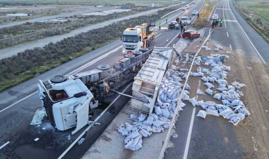 Aksaray’da meydana gelen trafik kazasında sürücüsünün direksiyon hakimiyetini kaybeden hayvan