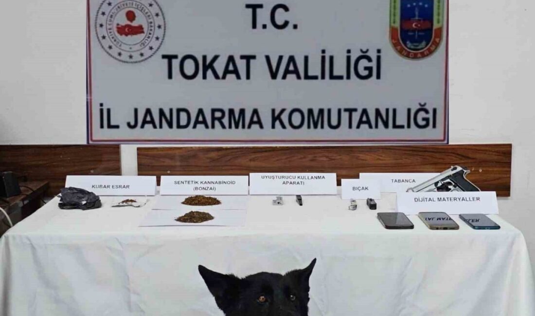 Reşadiye ilçesinde Jandarma ekipleri tarafından gerçekleştirilen bir uyuşturucu operasyonunda 5