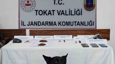 Reşadiye ilçesinde Jandarma ekipleri tarafından gerçekleştirilen bir uyuşturucu operasyonunda 5