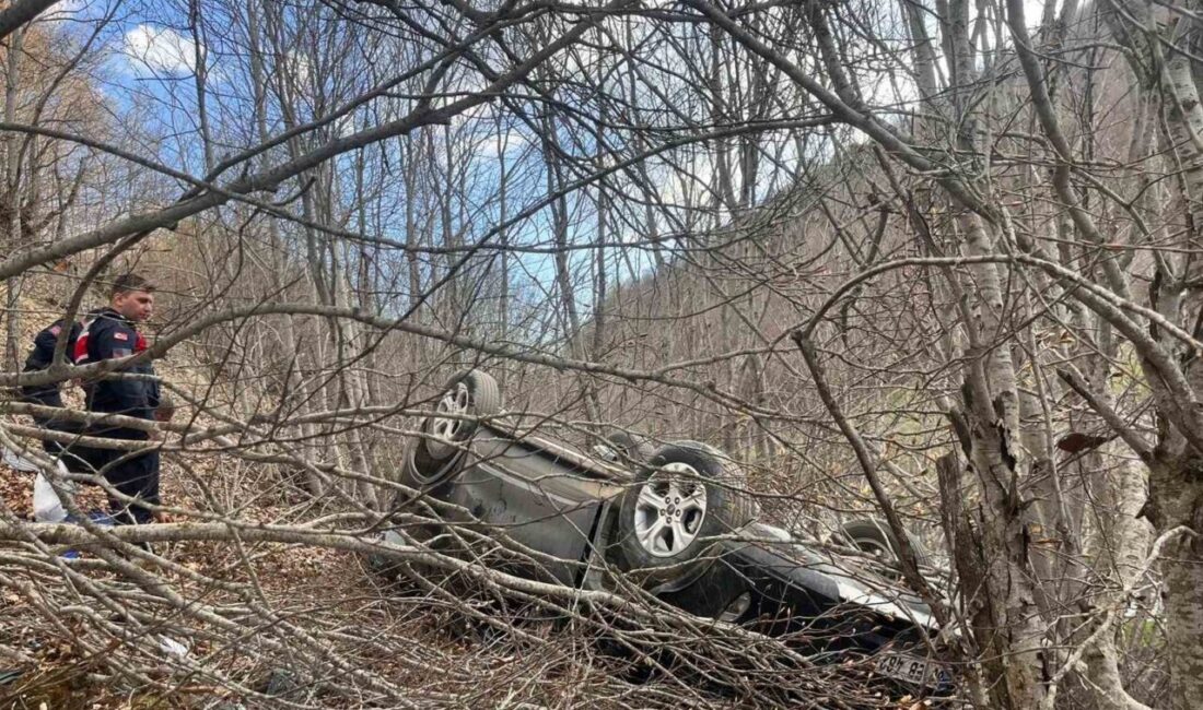 Tokat’ta yaşanan trafik kazasında, bir aracın şarampole uçması sonucu 2