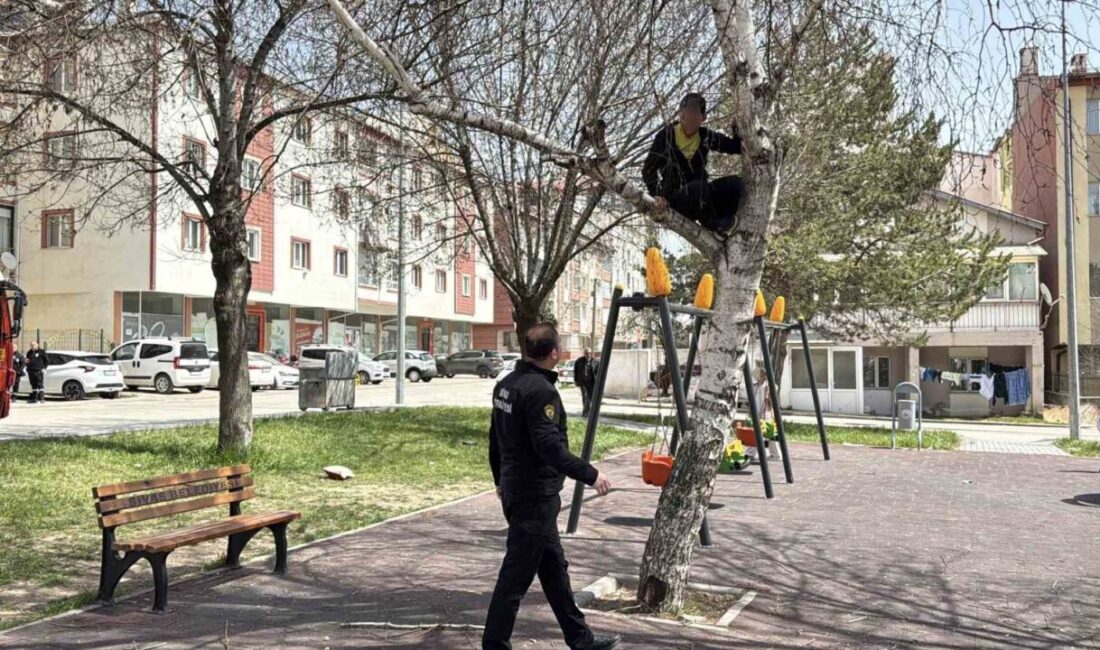 Sivas’ta bir çocuğun, topunu almak için çıktığı ağaçtan inemeyince itfaiye