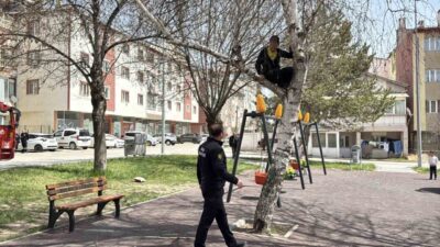 Sivas’ta bir çocuğun, topunu almak için çıktığı ağaçtan inemeyince itfaiye