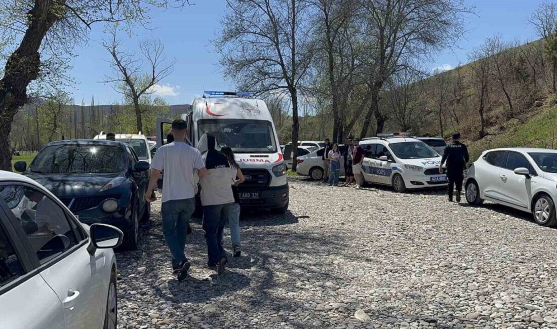 Tunceli’deki Örenönü Tabiat Parkı’nda çayda sular altında kalmak üzere olan