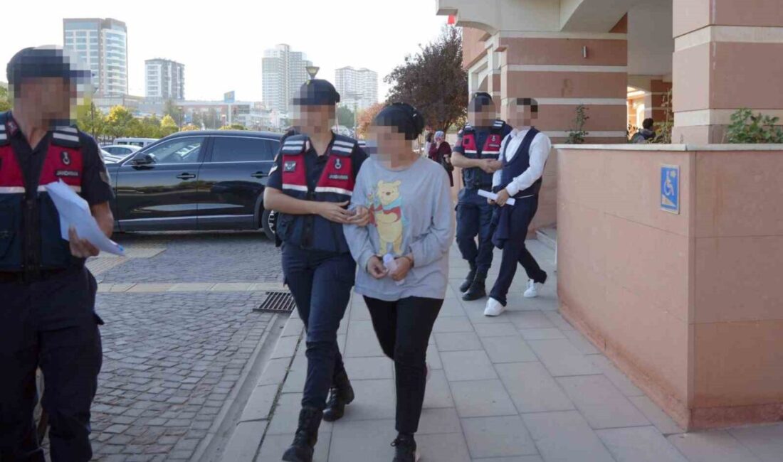 Kastamonu’ya uyuşturucu sevkiyatı yapan kadın ile diğer sanığın yargılanmasına başlandı.