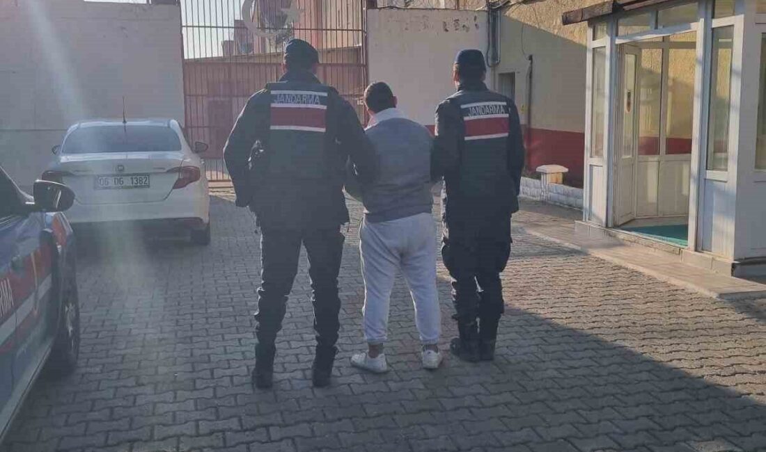 Germencik ilçesinde uyuşturucu suçundan aranan bir şahıs, jandarma ekipleri tarafından