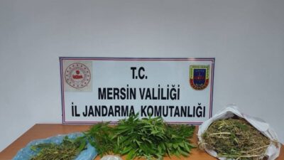 Mersin’in Tarsus ilçesinde uyuşturucu satıcısı jandarma tarafından ele geçirildi. Tarsus