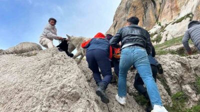 Van’ın Tuşba ilçesinde, sarp kayalıklarda mahsur kalan bir eşeğin kurtarılması