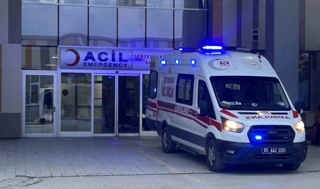 Van’ın Saray ilçesinde, evlerinin bahçesinde oyun oynayan iki çocuğa sahipsiz