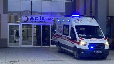 Van’ın Saray ilçesinde, evlerinin bahçesinde oyun oynayan iki çocuğa sahipsiz