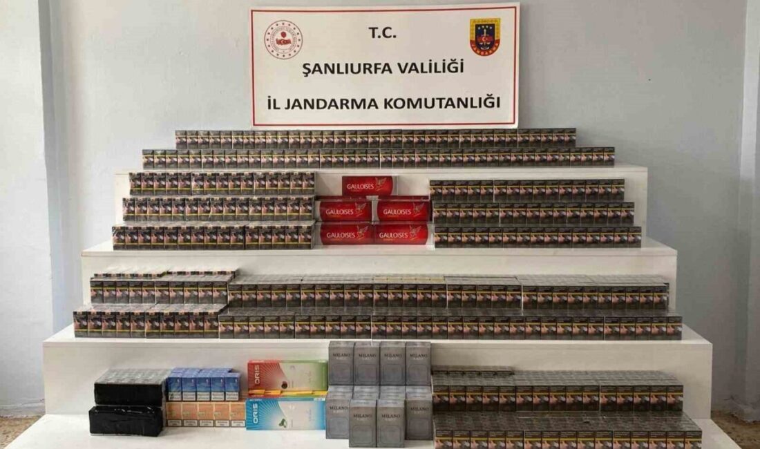 Şanlıurfa’nın Viranşehir ilçesinde jandarma ekipleri, 4 gün boyunca yaptıkları operasyonlarda