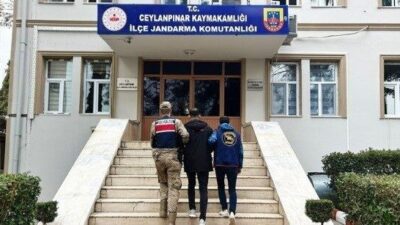 Şanlıurfa’nın Ceylanpınar ilçesinde, yağma suçundan aranan bir kişi, jandarma ekipleri