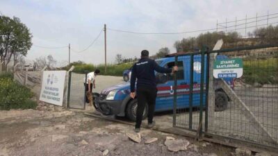 Yalova Belediyesi Sokak Hayvanları Yaşam Merkezi’nde meydana gelen köpek ölümleriyle