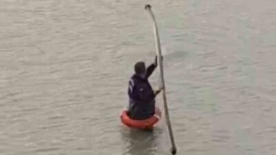 Şanlıurfa’da bir tilki, Bozova ilçesine bağlı Karaca Mahallesi Yoluboyunsuz Küme