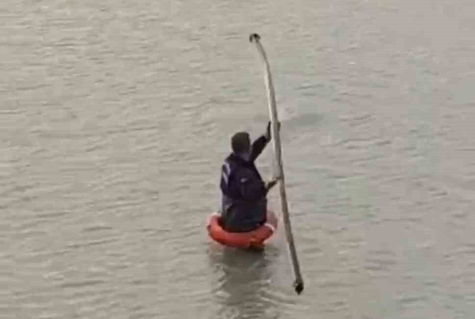 Şanlıurfa’da bir tilki, Bozova ilçesine bağlı Karaca Mahallesi Yoluboyunsuz Küme