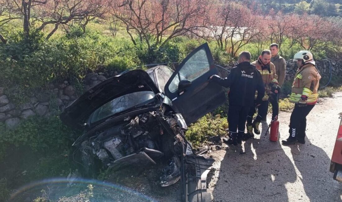 Hatay’da bir otomobil sürücüsü, Yayladağı ilçesine bağlı Yenice Mahallesi’nde bahçe