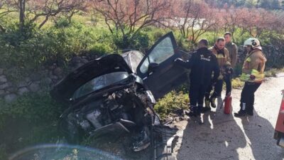 Hatay’da bir otomobil sürücüsü, Yayladağı ilçesine bağlı Yenice Mahallesi’nde bahçe
