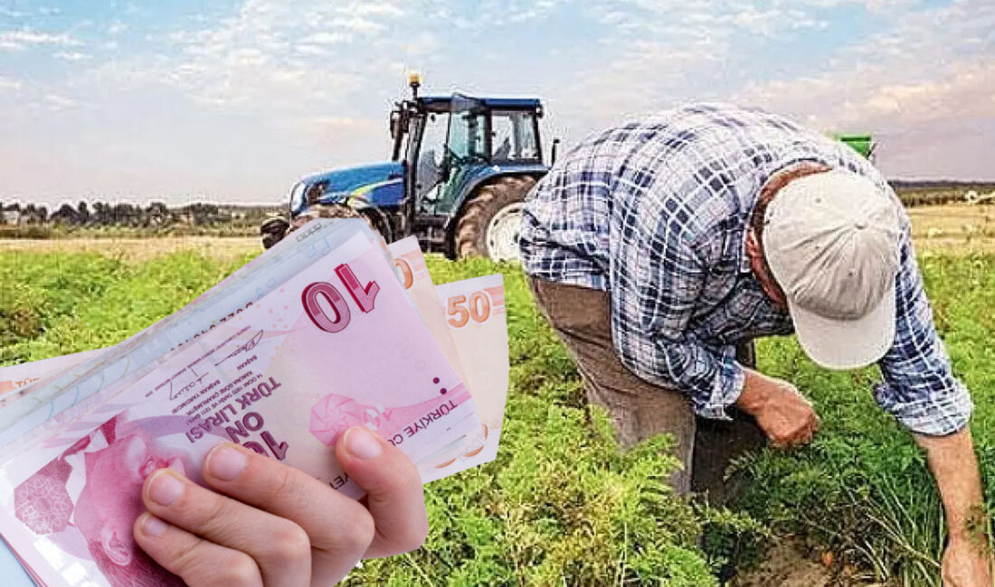 Tarım ve Orman Bakanlığı tarafından üreticilere yönelik destekleme ödemeleri Türkiye