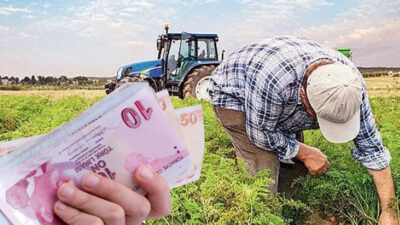 Tarım ve Orman Bakanlığı tarafından üreticilere yönelik destekleme ödemeleri Türkiye