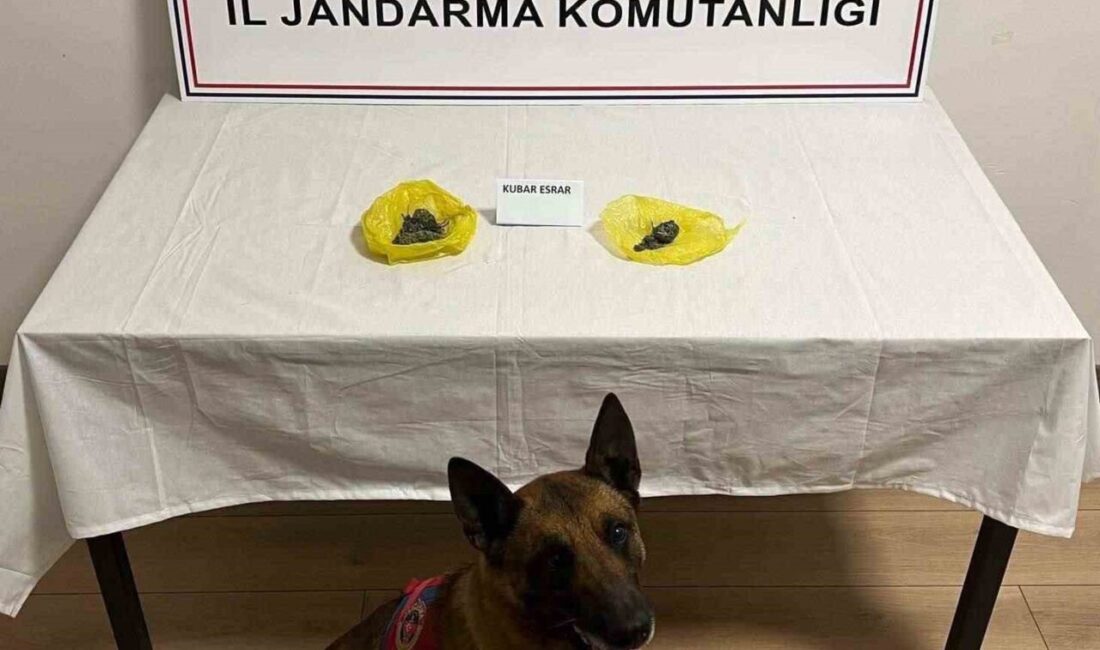 Nevşehir İl Jandarma Komutanlığı’nın yol kontrolü sırasında durdurulan bir araçta