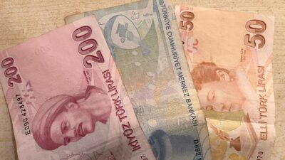 Tarım ve Orman Bakanlığı tarafından çiftçilere yönelik destek ödemeleri kapsamında