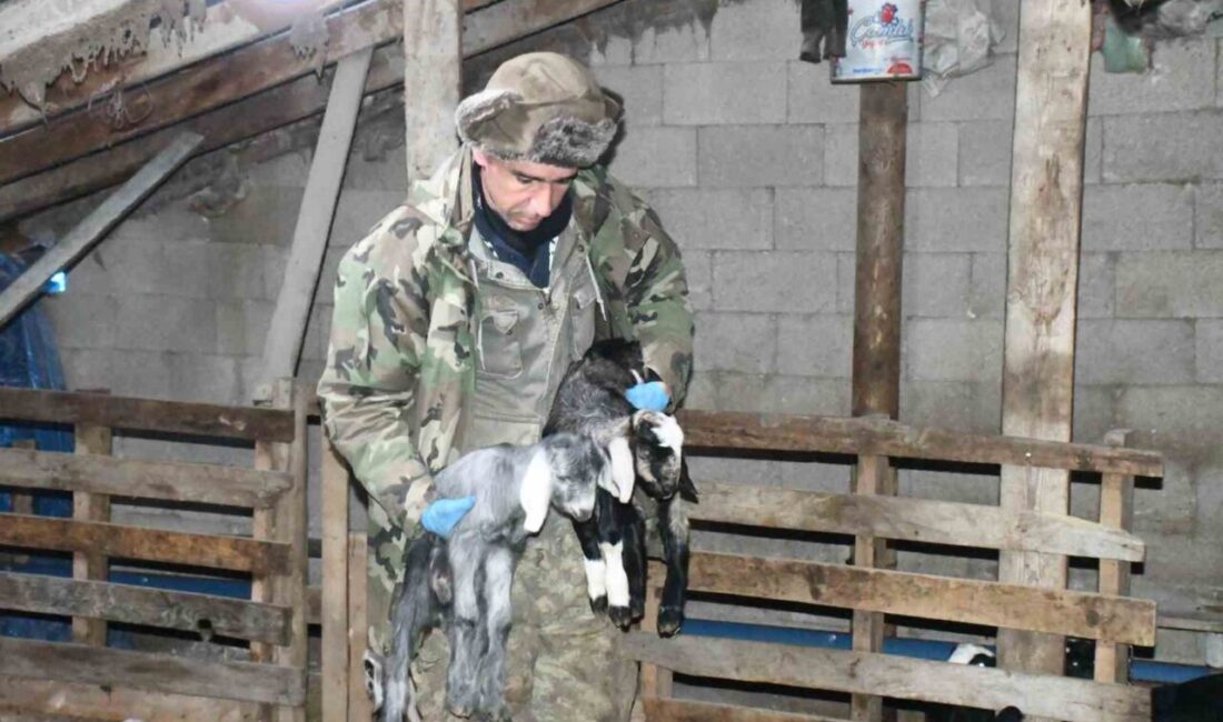 Kuşkayası Mahallesi’nde keçi yetiştiriciliği yapan Erkan Taştan, bu yıl hayvan