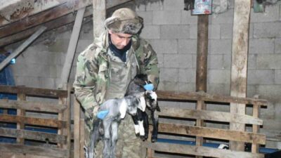 Kuşkayası Mahallesi’nde keçi yetiştiriciliği yapan Erkan Taştan, bu yıl hayvan