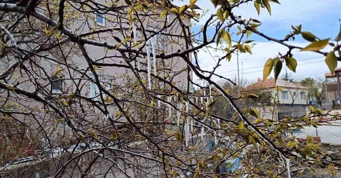 Yozgat’ta hava sıcaklıklarındaki düşüş nedeniyle zirai don riskinin arttığı konusunda