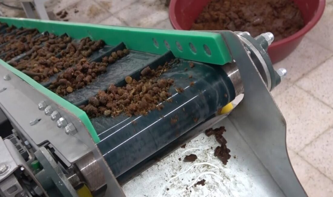 Yozgat’ta sokak hayvanlarının beslenme ihtiyaçlarını karşılamak amacıyla önemli bir adım