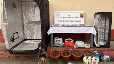Çaycuma ilçesinde Jandarma ekipleri tarafından gerçekleştirilen uyuşturucu operasyonunda, evde uyuşturucu