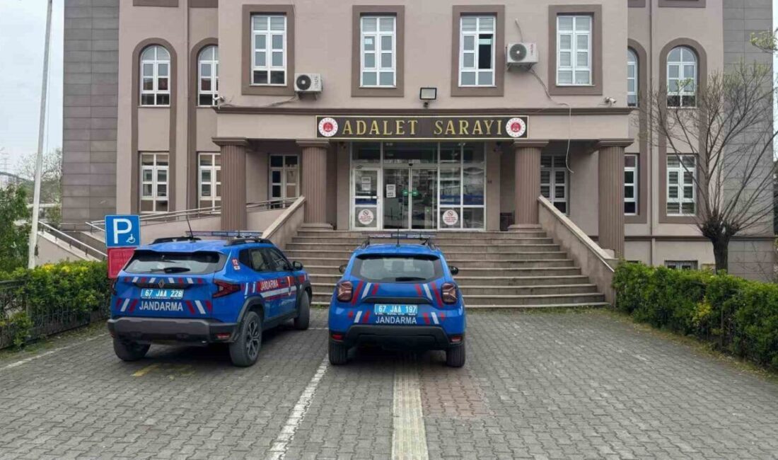 Alaplı ilçesinde jandarmanın gerçekleştirdiği operasyonda, bir bahçede bulunan ve halüsinasyona