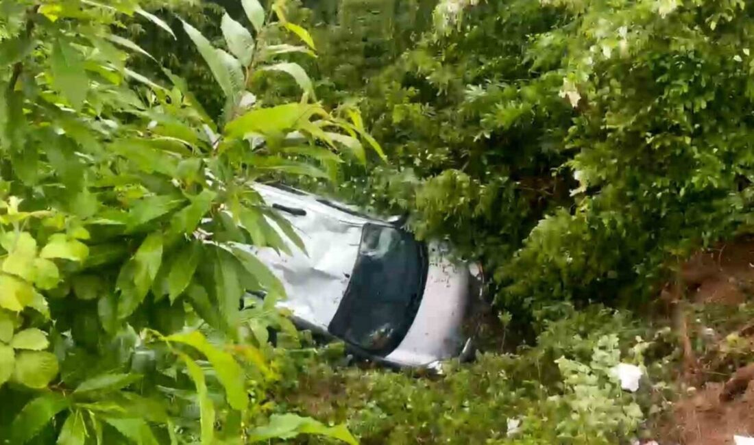 Sapanca ilçesinde meydana gelen bir trafik kazasında, aracın 5 metre