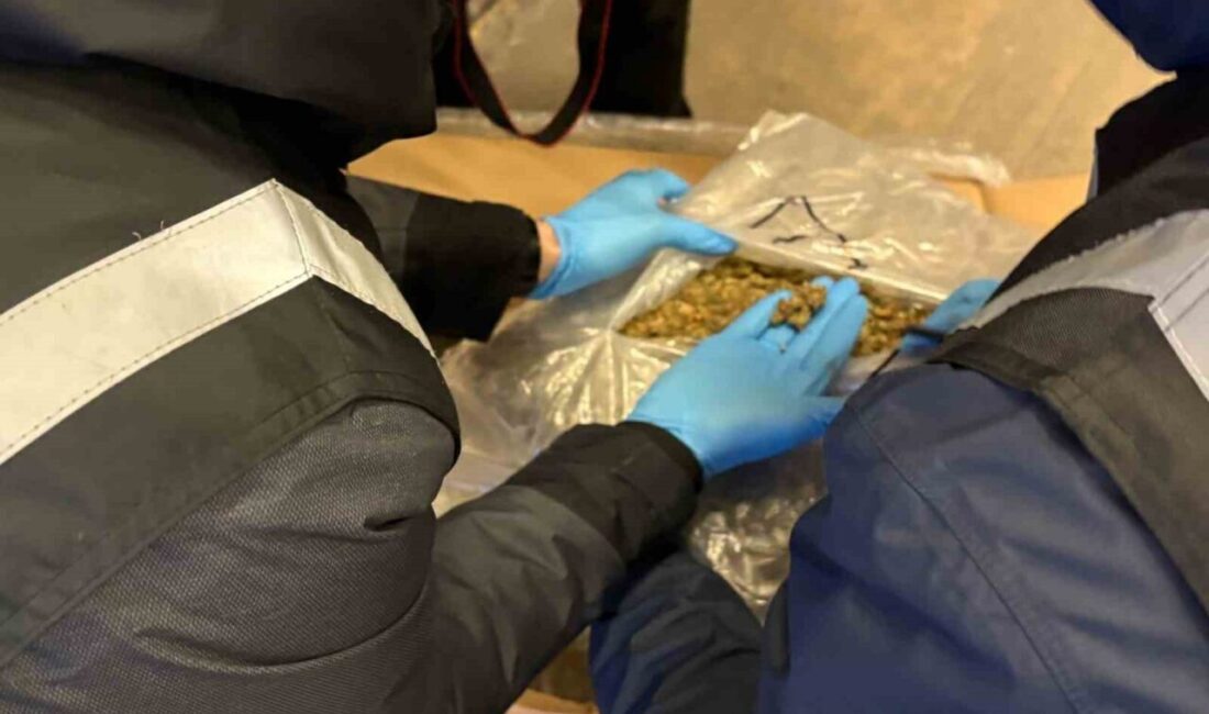 Ticaret Bakanlığı Gümrükler Muhafaza ekipleri tarafından Gürbulak, Kapıkule, Kapıköy, İpsala