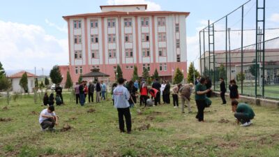 Yerköy Sosyal Hizmet Merkezi Müdürlüğü, “10-16 Mayıs Engelliler Haftası” ile