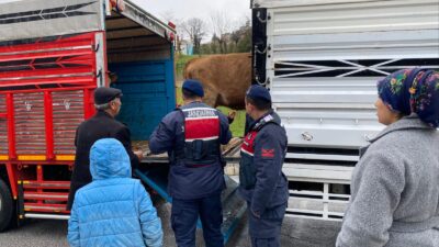 Yozgat Merkez’e bağlı bir köyde yaşanan olayda, bir şahıs alacağına