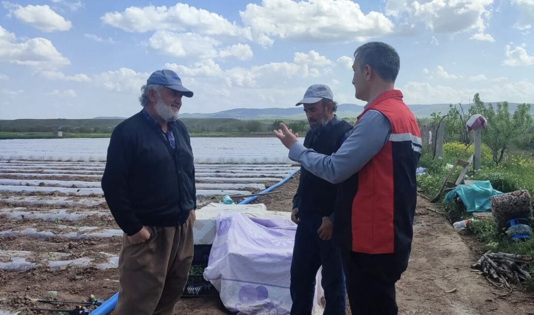 Yerköy İlçe Tarım ve Orman Müdürlüğü, ilçedeki tarımsal üretimi yakından